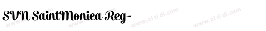 SVN SaintMonica Reg字体转换